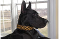Load image into Gallery viewer, TKC Leopard Beaded Dog Collar
