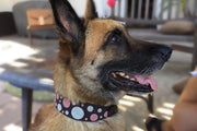 TKC Dots Pink Beaded Dog Collar