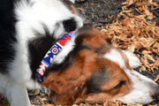 TKC Red White Blue Beaded Dog Collar