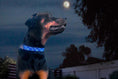 Load image into Gallery viewer, TKC Moonbeam Beaded Dog Collar
