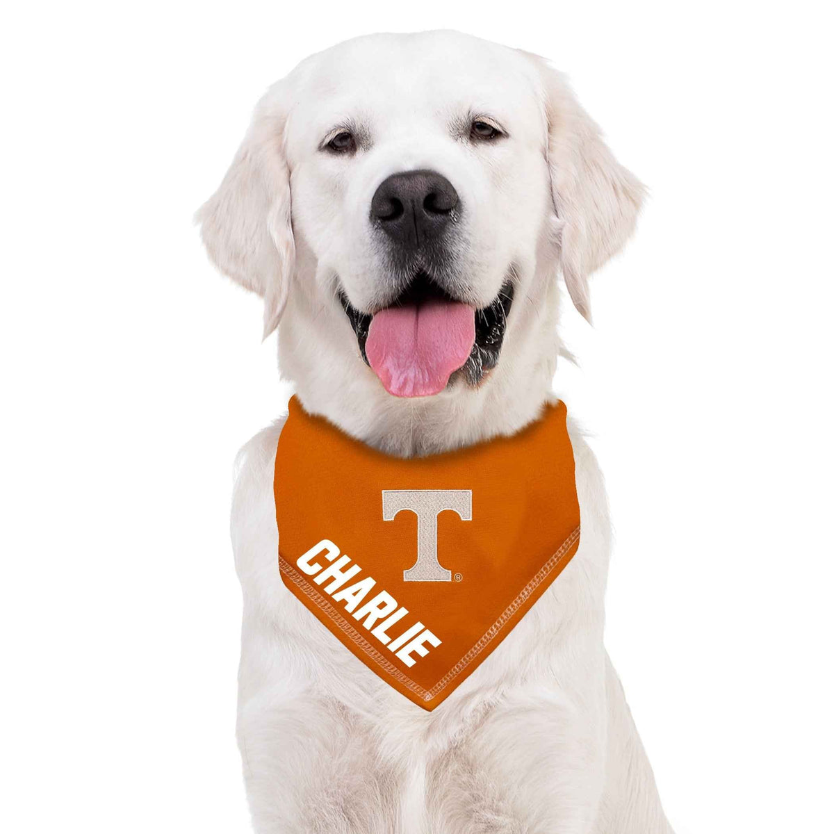 Tennessee Tie-Around Dog Bandana