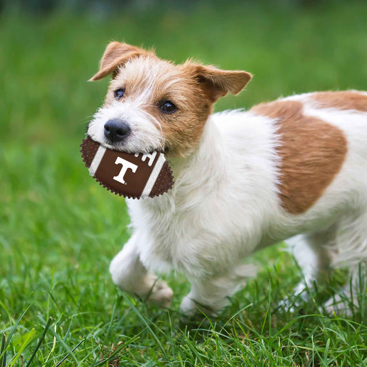 Tennessee Hard Nylon Football Chew Toy