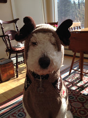 Moosey Hoodie Dog Sweater