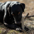 Load image into Gallery viewer, Tough Bone Nylon Chew Bone | Ultra-Durable Dog Toy for Aggressive Chewers | SodaPup

