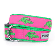Alligators Dog Collar & Lead Collection