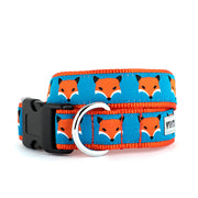 Foxy Collar & Lead Collection