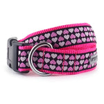 Hearts Collar & Lead Collection