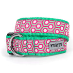 Pink/Green Hexagon Collar & Lead Collection