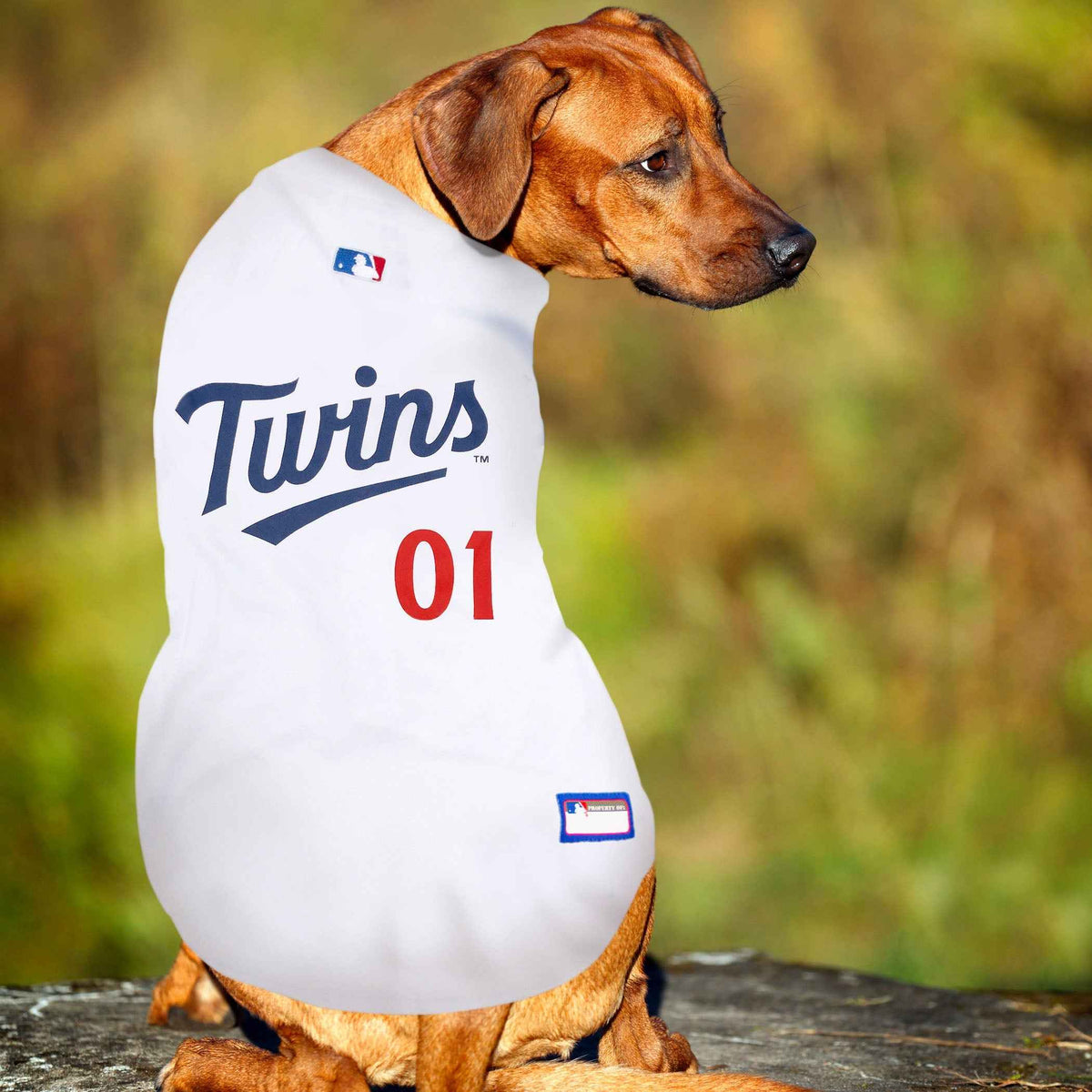 MLB Minnesota Twins Mesh Dog Jersey