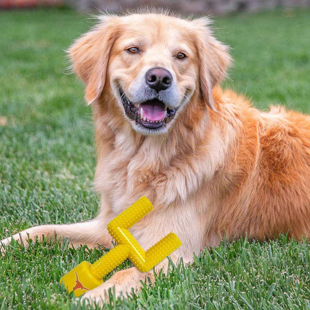 Texas Hard Nylon Goal Post Chew Toy
