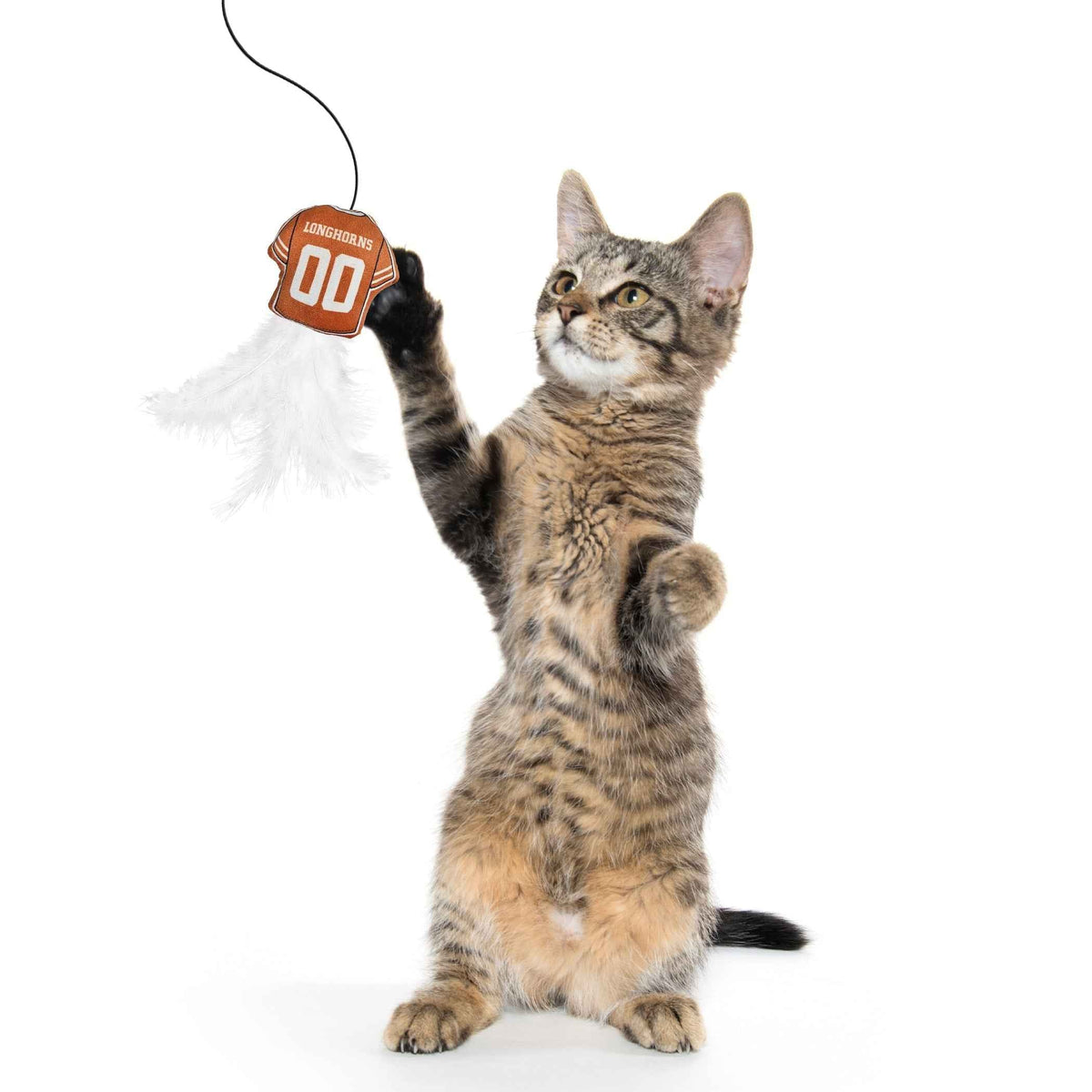 Texas Longhorns Team Jersey Wand With Catnip