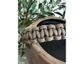 Load image into Gallery viewer, Cobra Braid in Tan - Handmade Dog Collar - Southlake Paws
