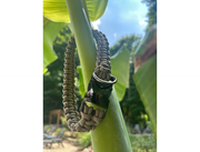 Cobra Braid in Tan - Handmade Dog Collar