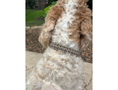 Load image into Gallery viewer, Cobra Braid in Tan - Handmade Dog Collar - Southlake Paws
