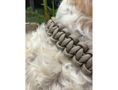 Load image into Gallery viewer, Cobra Braid in Tan - Handmade Dog Collar - Southlake Paws
