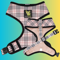 Load image into Gallery viewer, EcoBark Beige Plaid Dog Harness- Over-the-Head Dog Vest Halter for Small to Medium Dogs, and Puppies
