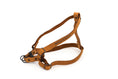 Load image into Gallery viewer, Sport Style Leather Step In Harness
