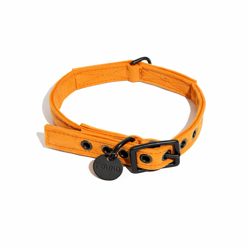 Tangerine Washable Velvet Cat & Dog Collar – Matte Black Hardware