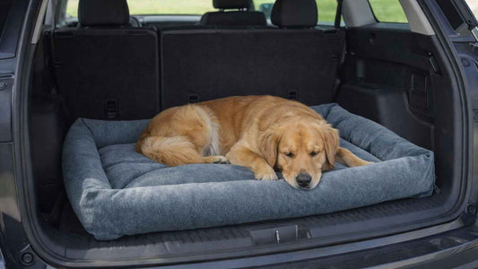 Bowsers Tango Multi Bed Convertible Dog Bed - Multi-Position Comfort for Changing Sleep Styles