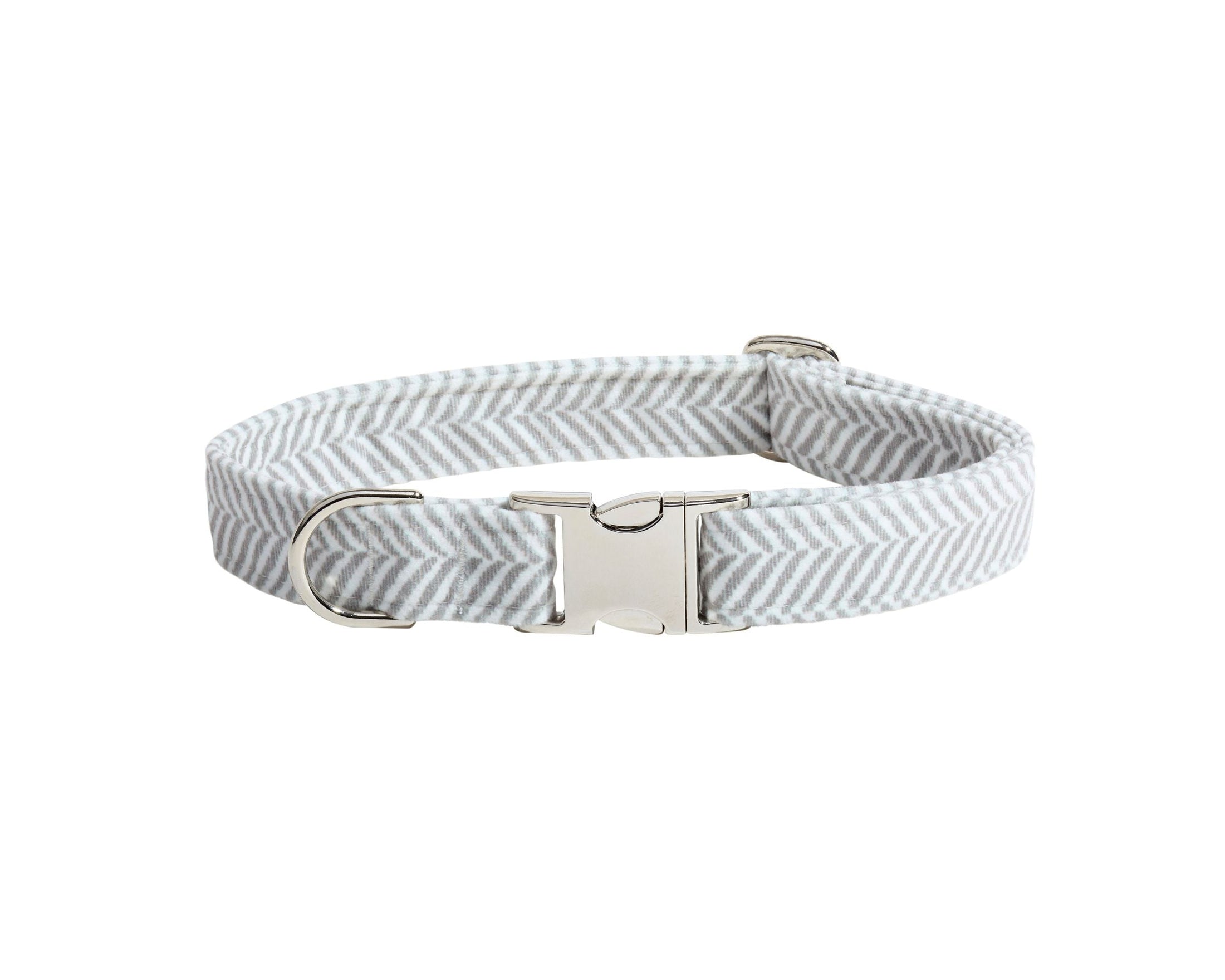 Designer Buckle Collar