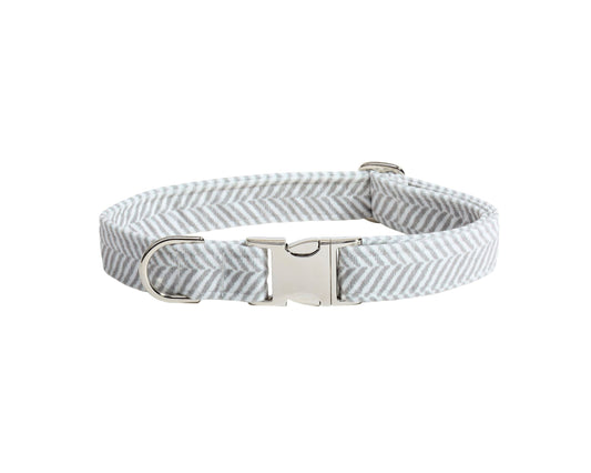 Designer Buckle Collar