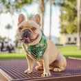 Load image into Gallery viewer, Teacher's Pet Cooling Bandana - Southlake Paws
