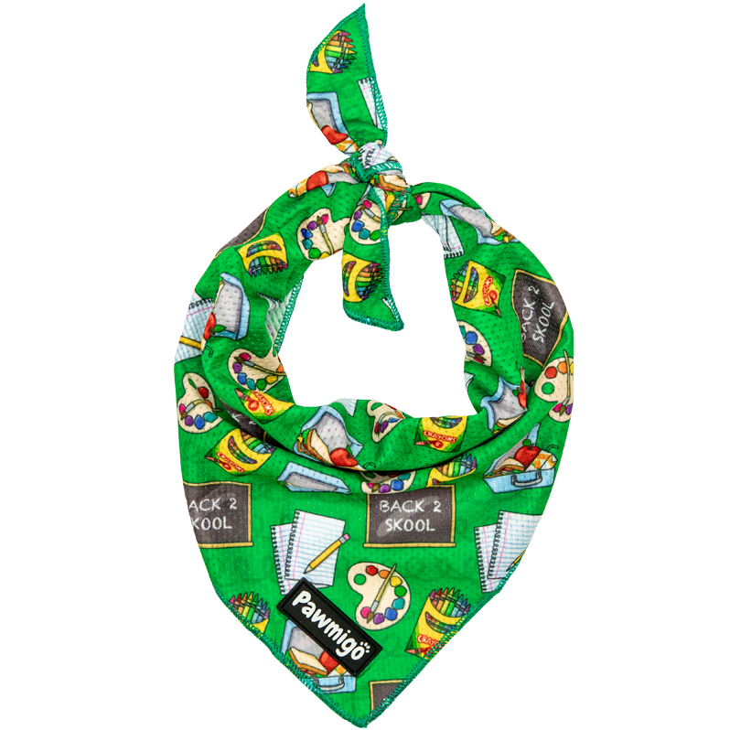 Teacher's Pet Cooling Bandana - Southlake Paws