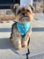 Teal Easter Egg Dog Bandana