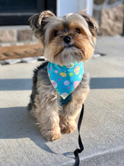 Teal Easter Egg Dog Bandana