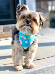 Teal Easter Egg Dog Bandana