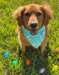 Load image into Gallery viewer, Teal Easter Egg Dog Bandana

