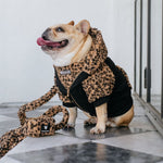 Frenchie Dog Hoodie - Teddy Leopard
