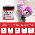 Load image into Gallery viewer, Critter Color - Temporary Pet Fur Coloring/Dog Dye
