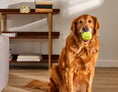Load image into Gallery viewer, 3" Tennis Ball Plush Toy (3 Pack)
