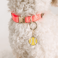 Load image into Gallery viewer, Tennis Ball Pet Charm
