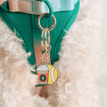 Load image into Gallery viewer, Puppuccino & Tennis Ball Pet Charm Set

