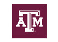 Load image into Gallery viewer, NCAA Texas A&M University, Reveille Knottie® Plush Dog Toy - image 4
