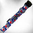 Load image into Gallery viewer, Colorado and Texas Dog Collars, Leads, and Bows - 5 Styles
