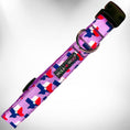 Load image into Gallery viewer, Colorado and Texas Dog Collars, Leads, and Bows - 5 Styles
