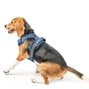 The NoMad Adjustable Luxe Harness - Denim