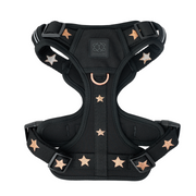 The NoMad Adjustable Luxe Harness - Rockstar