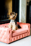 Load image into Gallery viewer, The Royal Luxury Pet Bed in Beige
