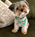 Load image into Gallery viewer, The Snuggle is Real Luxe Flannel Dog Bandana
