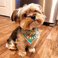 Load image into Gallery viewer, The Snuggle is Real Luxe Flannel Dog Bandana
