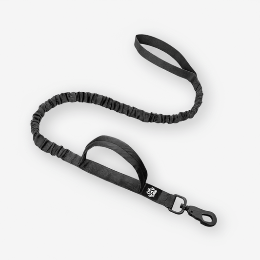 Rover Tactical Leash
