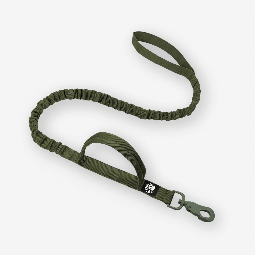 Rover Tactical Leash