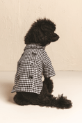 Load image into Gallery viewer, The British Are Coming - Southlake Paws
