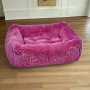 The Franklin-Cherry Blossom