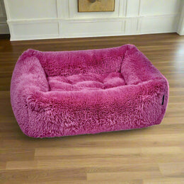 The Franklin-Cherry Blossom