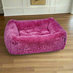 The Franklin-Cherry Blossom